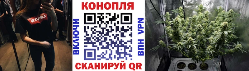 Бошки марихуана ГИДРОПОН  наркошоп  darknet какой сайт  Чишмы 